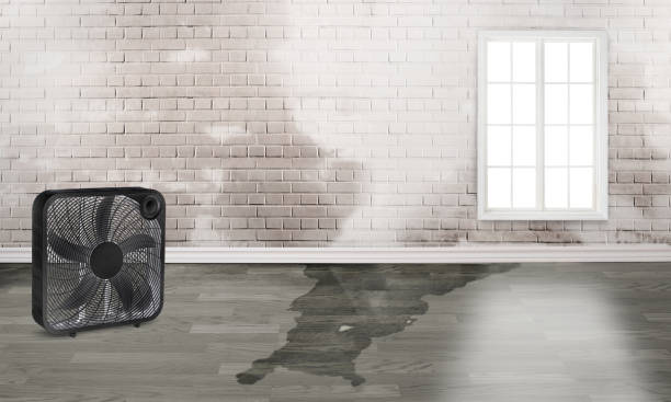 Best Ceiling water damage repair  in Governors Village, NC