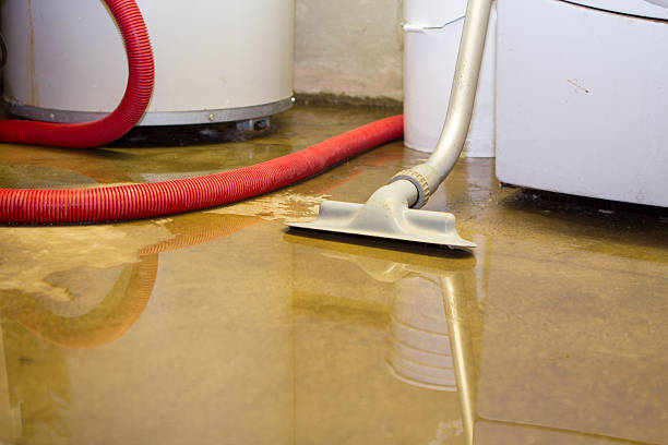 Best Ceiling water damage repair  in Governors Village, NC